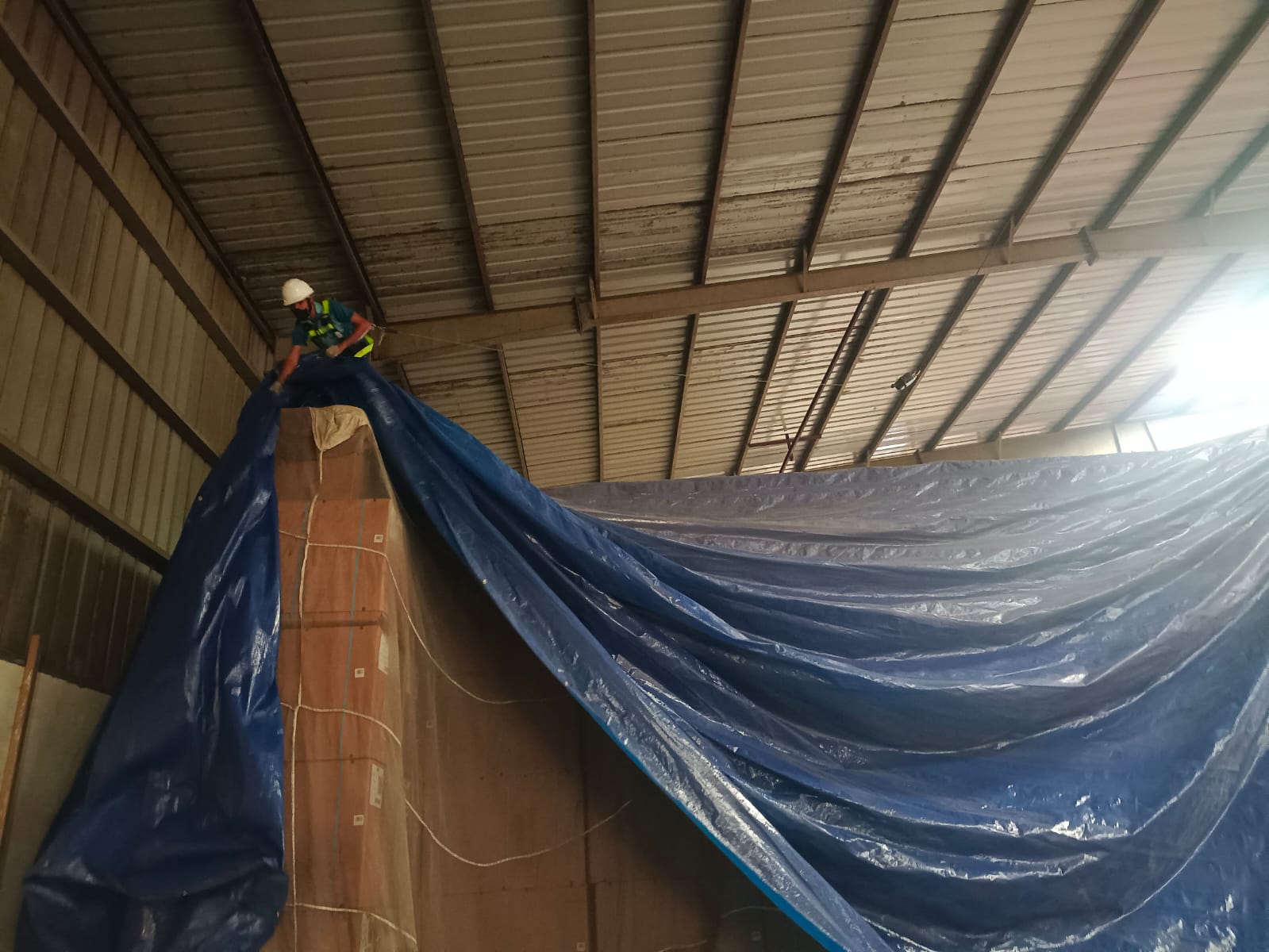 Termite Control