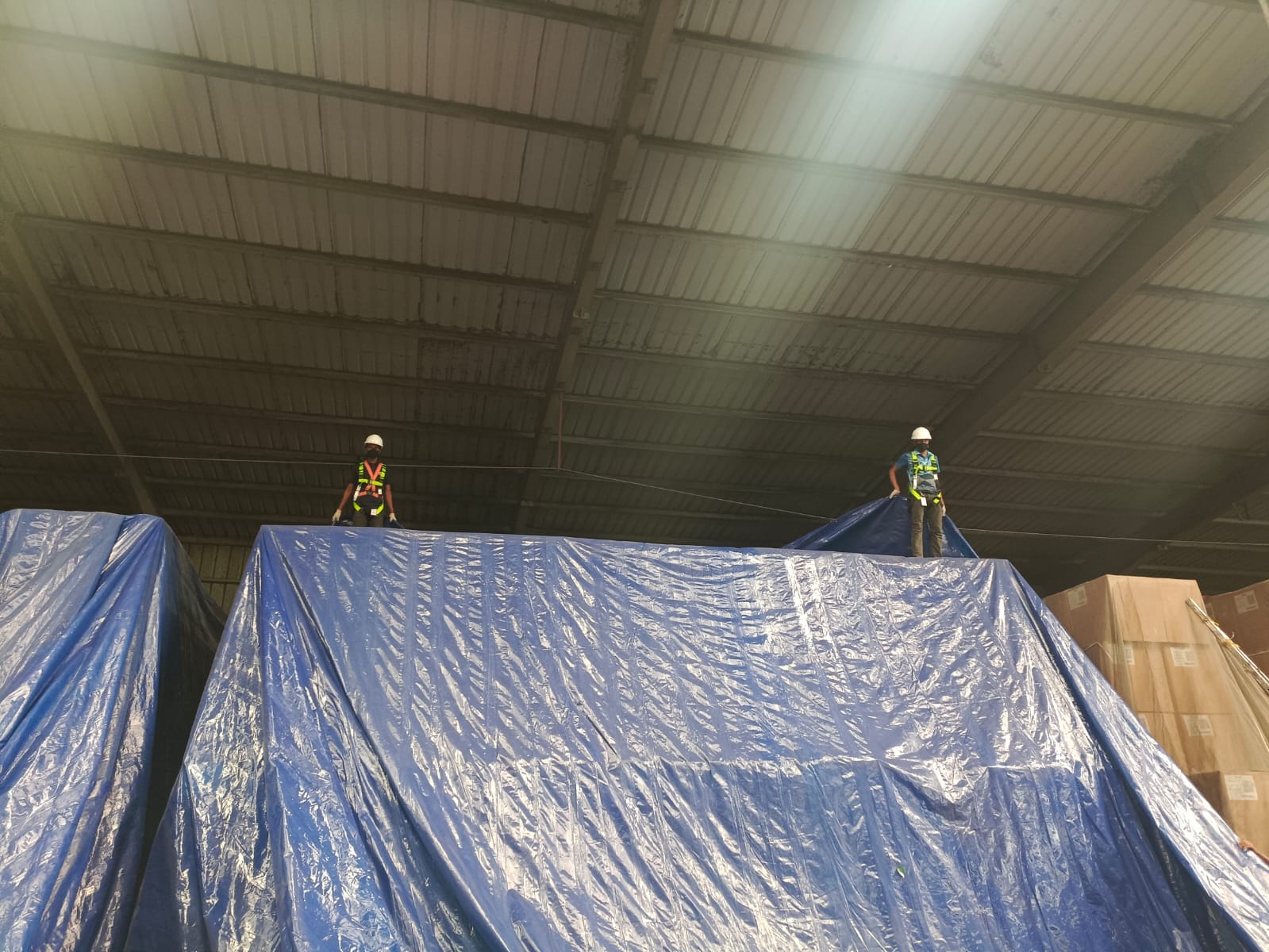 Spraying Service